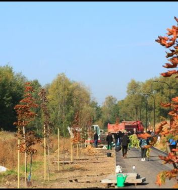30 bomen voor de 30ste verjaardag van Purmo fietspad Rybnik