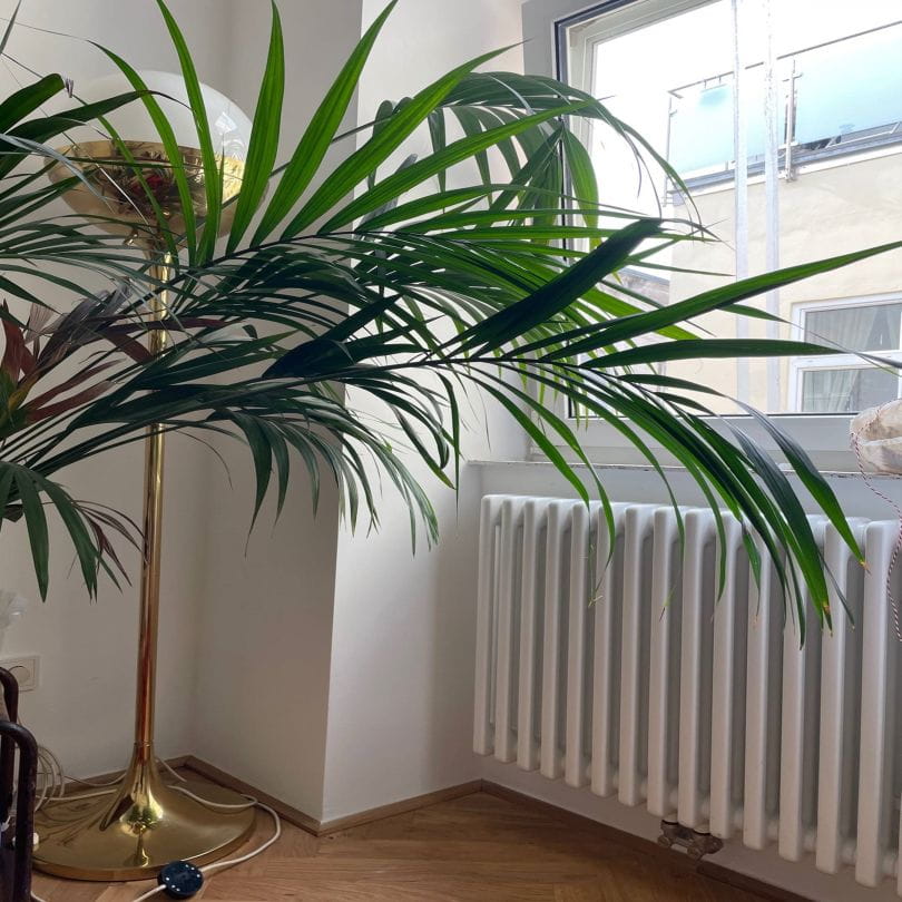 Nieuwe radiatoren in Weens appartement