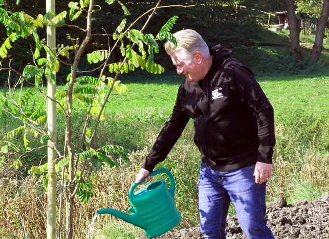 Planter des arbres